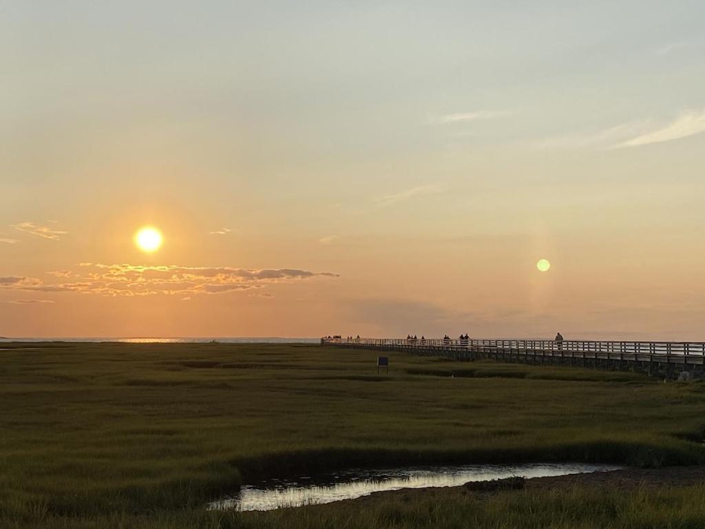 A Cozy Cape House Steps To Restaurants & Beaches ~1.4 Miles Down Scenic Roads Yarmouth Port 外观 照片